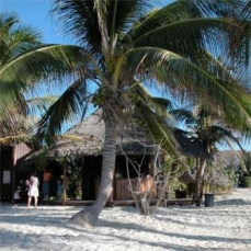 Hotetur Sunbeach 3*