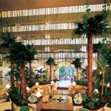 Fiesta Americana Grand Coral Beach 5*