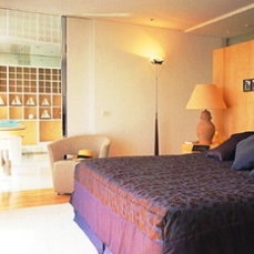 De Paris  5* de Luxe