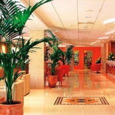Dome Beach 4*
