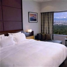 Hotel Nikko Mexico 5*