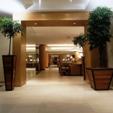 Hotel Epsom Manotel 4*