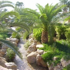 Movenpick Resort & Spa 5*