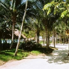 Riu Yucatan 5*