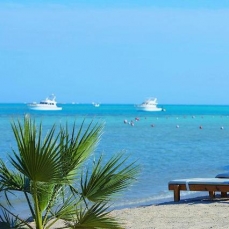 Steigenberger Al Dau Beach 5*