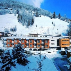 Der Waldhof  4*