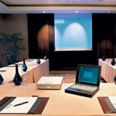 Royal Windsor Hotel Grand Place 5*