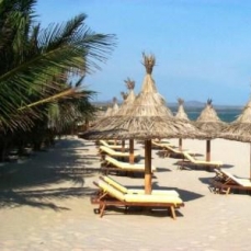 Coco Beach Resort 3*