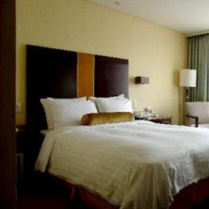 Ramada Hotel and Suites Seoul Central 5*