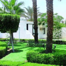 Beach Albatros SSH 4*