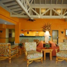 Comfort Suites 3*