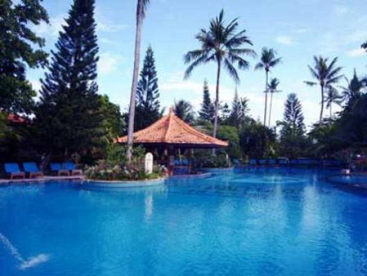 Bali Tropic Resort & SPA 4*
