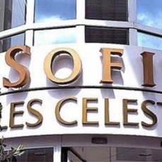 Sofitel Vichy Les Celestins  4*