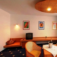 Der Waldhof  4*