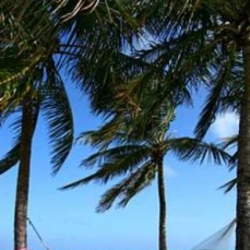 Wyndham Nassau Resort & Crystal Palace Casino 3*