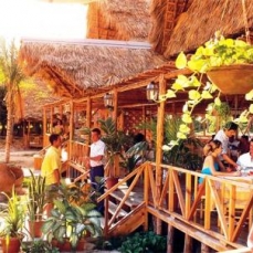 Iberostar Tainos 4*