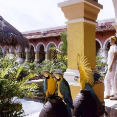Iberostar Paraiso Beach / del Mar 5*