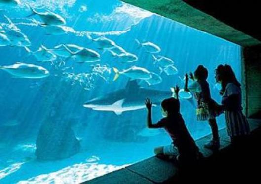 The Harborside Resort At Atlantis 5*