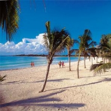 Beach / Barcelo Maya Caribe 5*