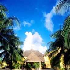 Occidental Allegro Cozumel 4*