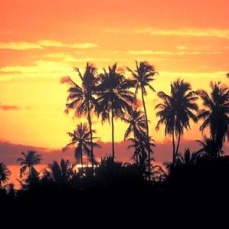 Chole Mjini Chole Island 4*
